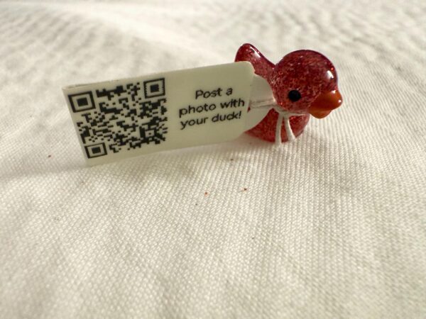 Mini Cartoon Duck – Goggles & Overalls Edition | Optional Magnet or Suction Cup | Custom Trackable Tag - Image 6