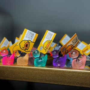 Glow-in-the-Dark Mini Magnetic or Suction Cup Ducks – Custom Tags & Online Photo Album to Track Journey! Great for Cruise/Jeep