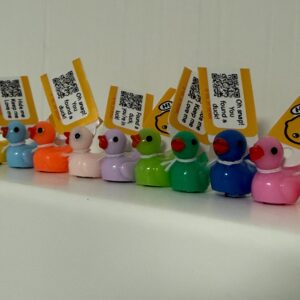 Tiny Magnetic Ducks (Solid Color) – Custom Tags & QR Code w/ Online Photo Album Option! Hide and find! Great for cruises, jeeps, and fun
