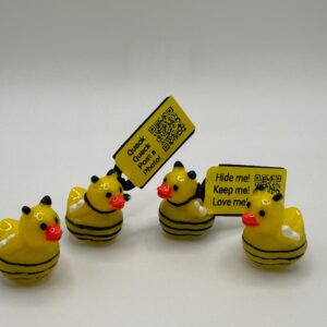 Tiny Magnetic Bee Ducks with Personalized Tags &  FREE Online Photo Album! Hide, find, love! Great for cruises, jeeps, and fun. Resin