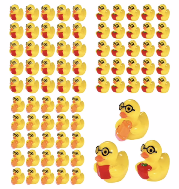 CUSTOM 25 Back-to-School Ducks & 25 Mini Tags