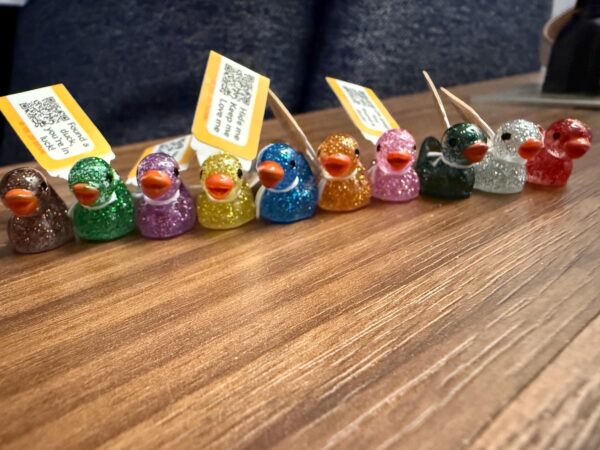 Tiny Magnetic Dark Glitter Ducks – Custom Tags & QR Code w/ Online Photo Album Option! Hide and find! Great for cruises, jeeps, and fun - Image 5