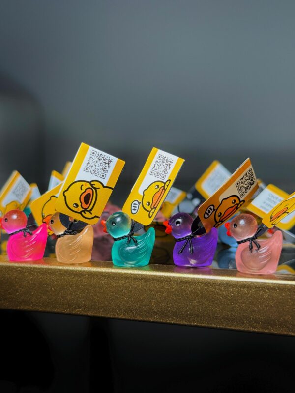 Glow-in-the-Dark Mini Magnetic or Suction Cup Ducks – Custom Tags & Online Photo Album to Track Journey! Great for Cruise/Jeep