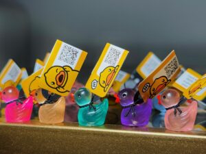 Glow-in-the-Dark Mini Magnetic or Suction Cup Ducks – Custom Tags & Online Photo Album to Track Journey! Great for Cruise/Jeep