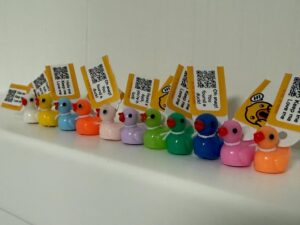 Custom, Personalized Tags for Mini Ducks with FREE Online Photo Album Great for Cruises, Jeeps, Holidays and Fun! Go Ducking! Get Ducked!