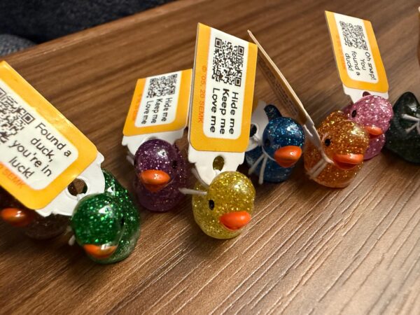 Tiny Magnetic Dark Glitter Ducks – Custom Tags & QR Code w/ Online Photo Album Option! Hide and find! Great for cruises, jeeps, and fun - Image 2