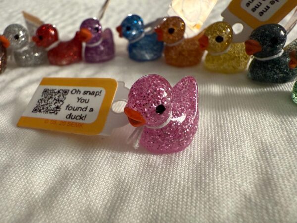 Tiny Magnetic Dark Glitter Ducks – Custom Tags & QR Code w/ Online Photo Album Option! Hide and find! Great for cruises, jeeps, and fun - Image 4