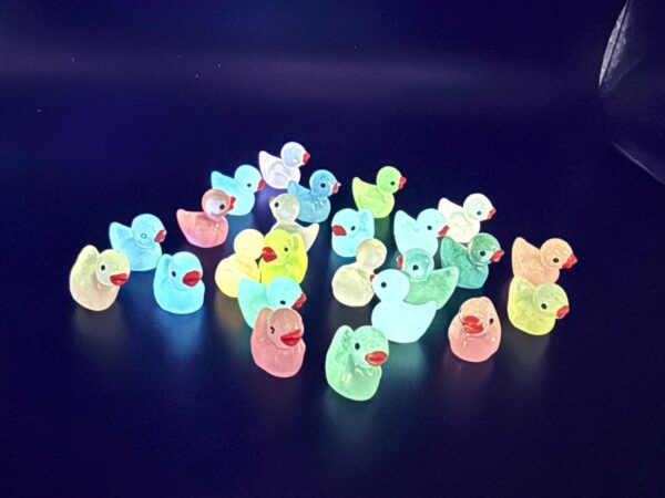 Glow-in-the-Dark Mini Magnetic or Suction Cup Ducks – Custom Tags & Online Photo Album to Track Journey! Great for Cruise/Jeep - Image 2