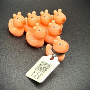 Mini Capybara Duck | Magnetic or Suction Cup | Custom Trackable Tag, Free Online Photo Album | Tiny Cruise Duck | Hide, collect, cruise Jeep