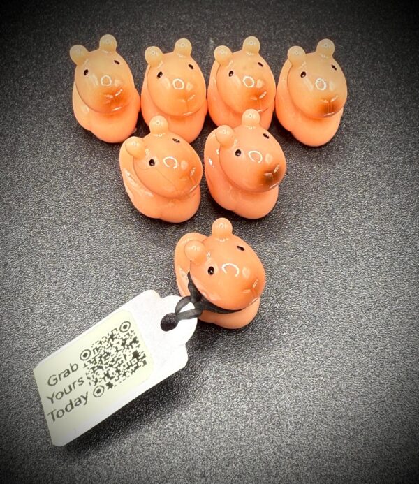 Mini Capybara Duck | Magnetic or Suction Cup | Custom Trackable Tag, Free Online Photo Album | Tiny Cruise Duck | Hide, collect, cruise Jeep - Image 6