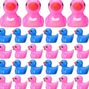 Mini Gender Reveal Ducks – Team He & Team She | Optional Magnet or Suction Cup | Personalized Tag, Online Photo Album, Perfect Party, Votes