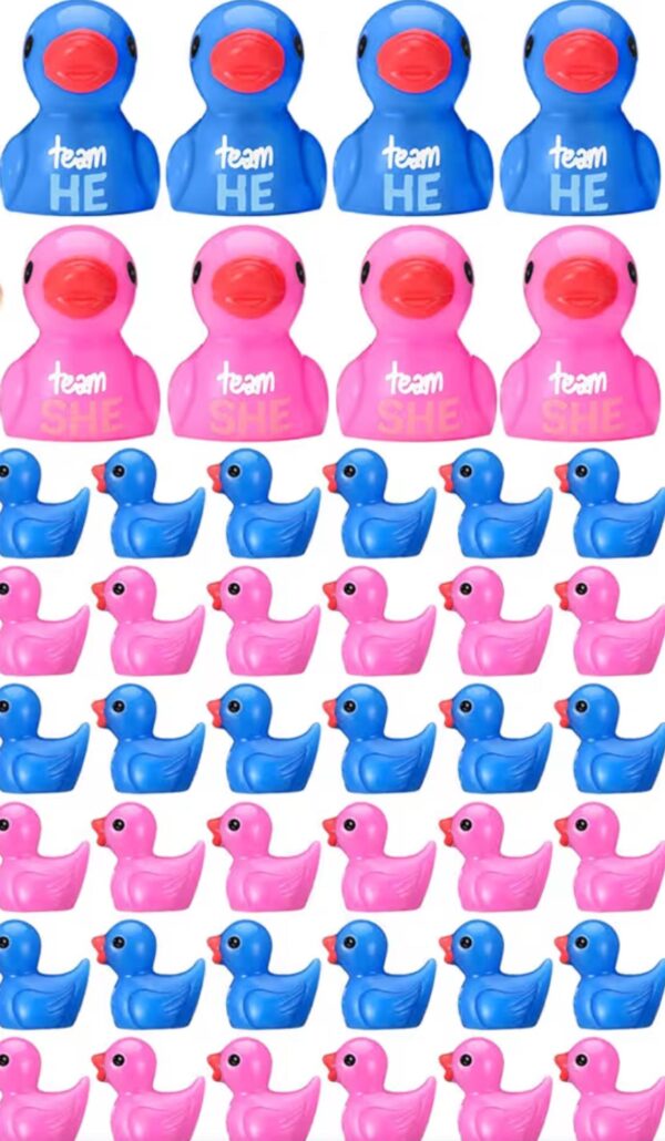 Mini Gender Reveal Ducks – Team He & Team She | Optional Magnet or Suction Cup | Personalized Tag, Online Photo Album, Perfect Party, Votes
