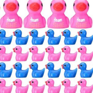 Mini Gender Reveal Ducks – Team He & Team She | Optional Magnet or Suction Cup | Personalized Tag, Online Photo Album, Perfect Party, Votes