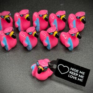 Mini Pink Flamingo Duck with Surfboard – Summer Cruise Duck w/ Sunglasses, Optional Magnet or Suction Cup – Custom Tag & Online Photo Album