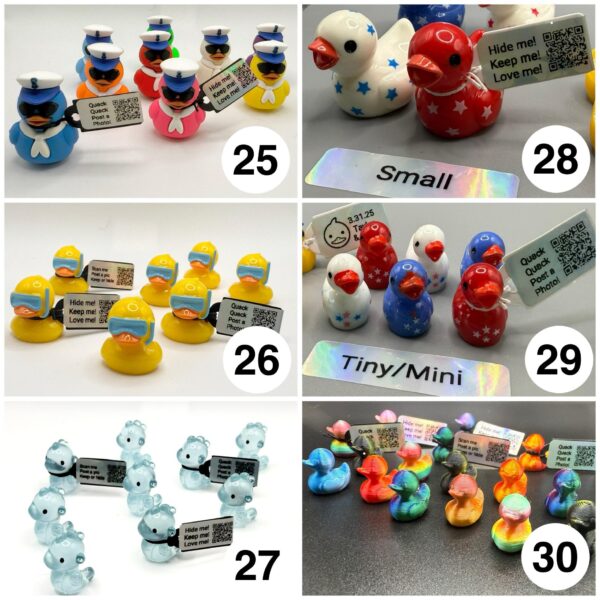 Duck Duck Zoo Tiny Animal Monthly Subscription Box – Starts at just 10!  Ducks, Cows, Frogs, Hippos & More! Custom Tags, Magnet, Suction Cup - Image 6