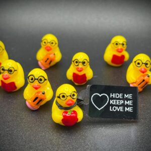 Mini Back to School Ducks – Book, Pencil & Apple – Magnet or Suction Cup Base + Custom Tags – Great for Teachers, Students, Staff, Class