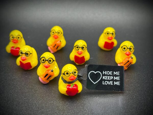 Mini Back to School Ducks – Book, Pencil & Apple – Magnet or Suction Cup Base + Custom Tags – Great for Teachers, Students, Staff, Class