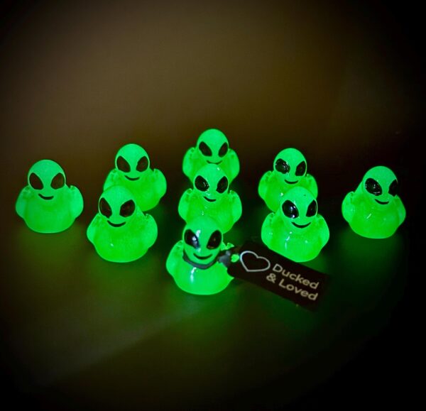 Mini Glow-in-the-Dark Alien Ducks – Custom Tags & Optional Magnet or Suction Cup – Party Favors, Cruises, Jeeps, UFO Events, Movies - Image 2