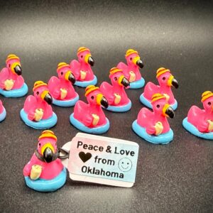 Mini Flamingo Ducks on Float for Summer, with Drink & Hat – Neon Party Favors, Custom Tag, Magnet or Suction Cup – Cruise, Pool, Jeep, Beach